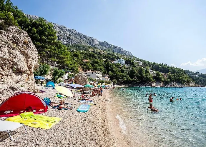 Victory Apartman Mimice